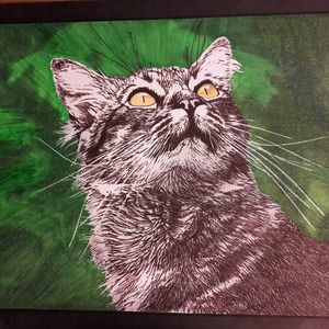 Meet your Posher, Cheryl